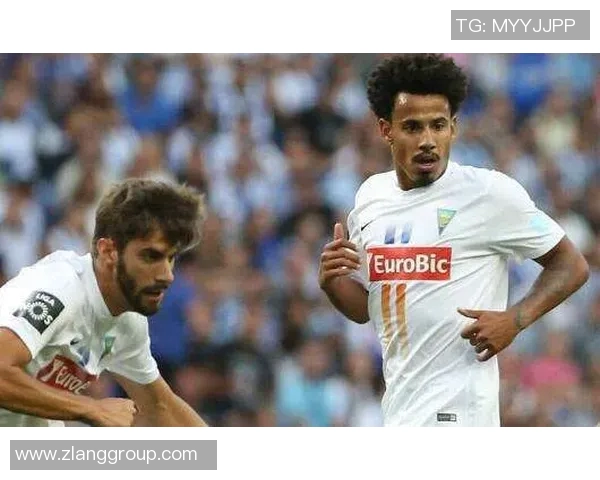 埃斯托里与费伦斯实力分析及对比探讨