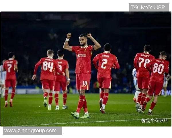 搜狐南安普敦对阵利物浦比赛结果预测及分析分享